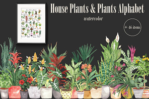 House Plants Alphabet and Clipart