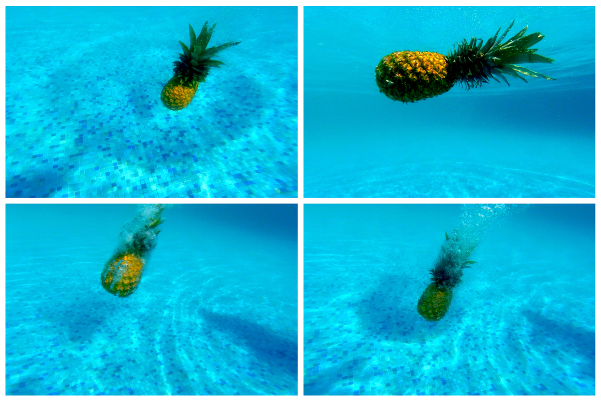 Underwater Pineapple Collection, a Nature Photo by Pineapple Shop (Photo 2 of 4)