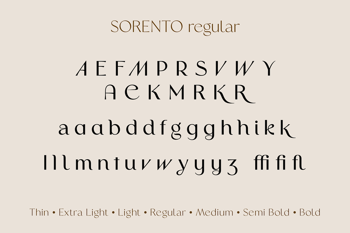 Sorento | Font Family, a Sans Serif Font by Larin Type Co. (Photo 15 of 15)