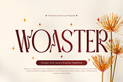 Woaster - Luxury Display Font, a Serif Font by Flawless And Co (Thumbnail 1 of 10)