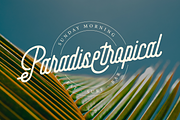 Kimdelim | Monoline Script, a Script Font by Denustudios (Thumbnail 5 of 15)