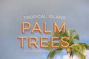 Photo Suite:  Palm Trees, a Templates & Theme by Jenny Hansen Suites (Thumbnail 2 of 2)