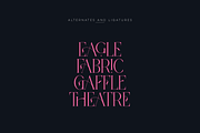 SALE! Modern Heritage font duo, a Serif Font by VP Fonts (Thumbnail 21 of 23)