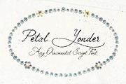 Petal Yonder: Airy Script Font, a Script Font by Mneme (Thumbnail 1 of 9)
