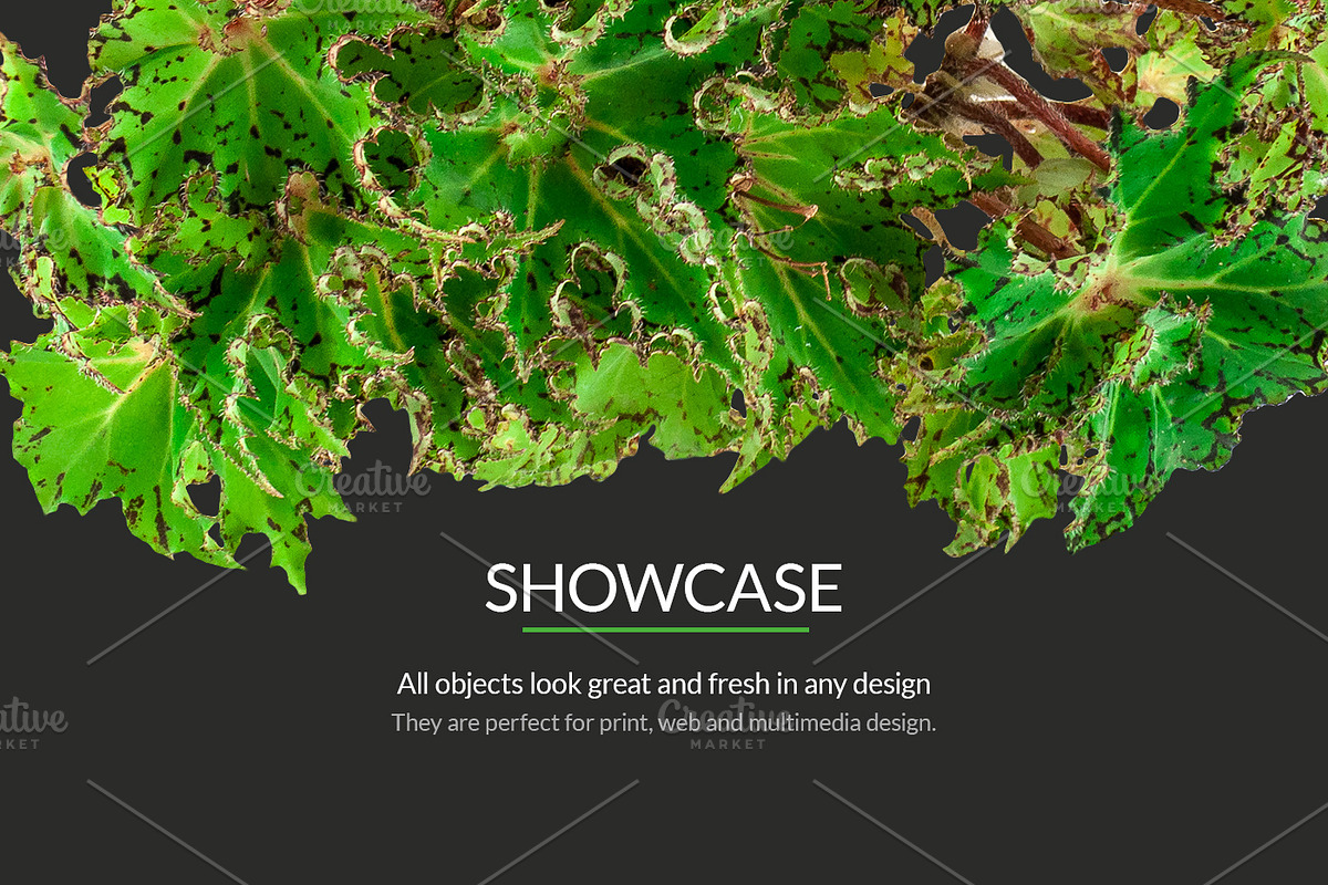 Green Stuff - flowers, trees, plants, a Mockup by byDimas (Photo 5 of 5)