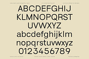 Lenia Sans Family | Intro 75% OFF, a Sans Serif Font by Lettertype Studio (Thumbnail 9 of 15)