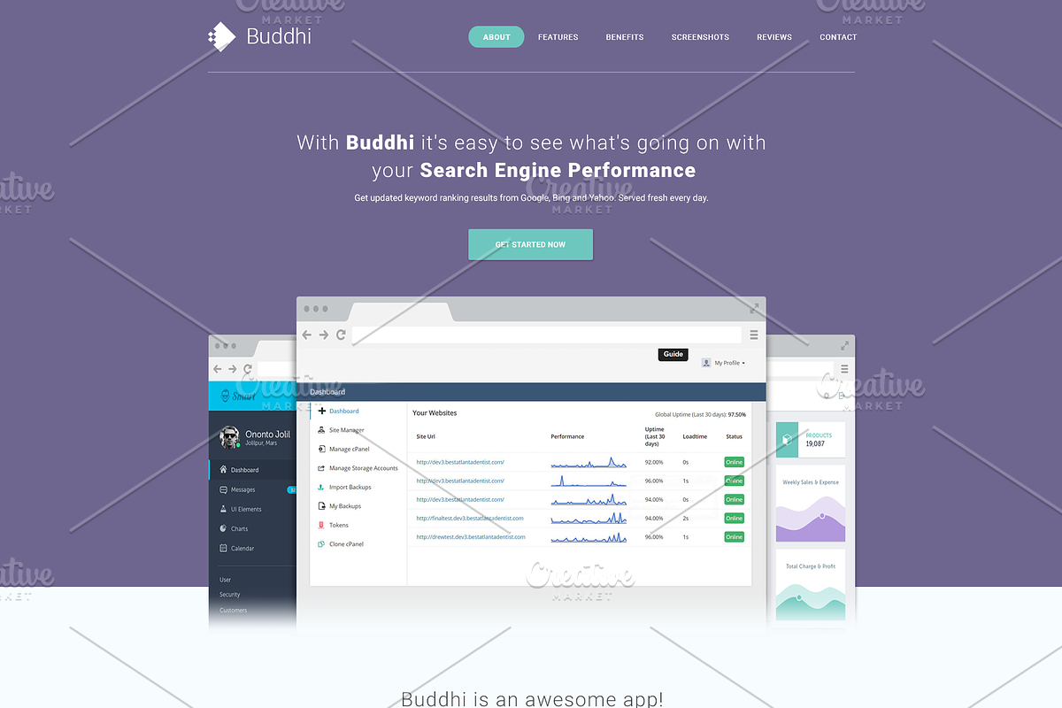 Buddhi - SaaS Landing Page PSD, an App Template by Pentaclay (Photo 7 of 8)