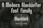 Blackbird - Blackletter font family, a Blackletter Font by Artistic & Unique (Thumbnail 4 of 16)