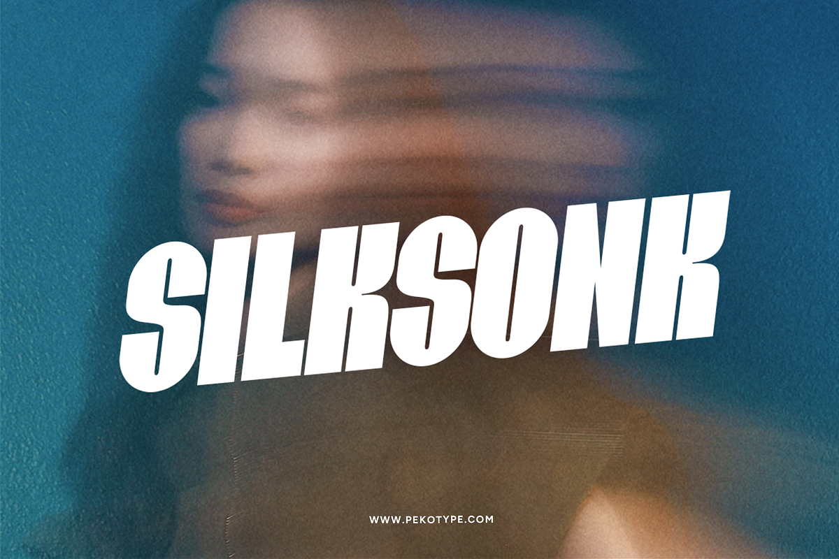 VILTRUM - Super Bold Condensed Font, a Font by Pekotype (Photo 7 of 15)