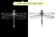 Dragonfly inspiration, an Object Graphic by Indie Khisa (Thumbnail 3 of 7)