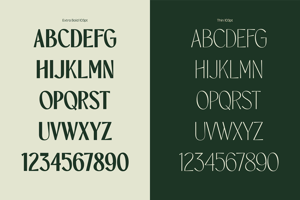 TBJ Orcherum Unique Ligatures Sans, a Font by Taboja Studio (Photo 8 of 21)