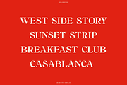 BN Chester - A Unique Serif Font, a Handwritten Font by Bnick (Thumbnail 6 of 10)