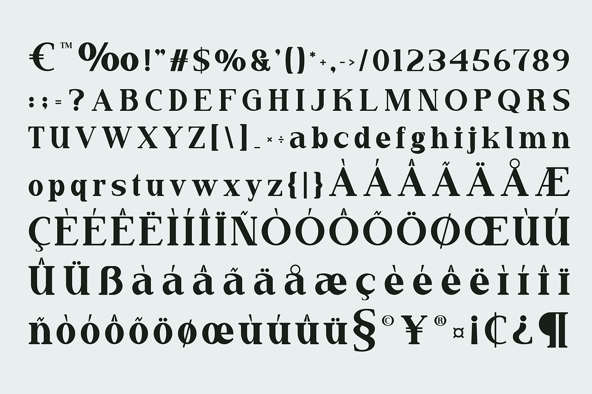 Mandore - A Modern Serif, a Serif Font by Marvadesign (Photo 5 of 7)