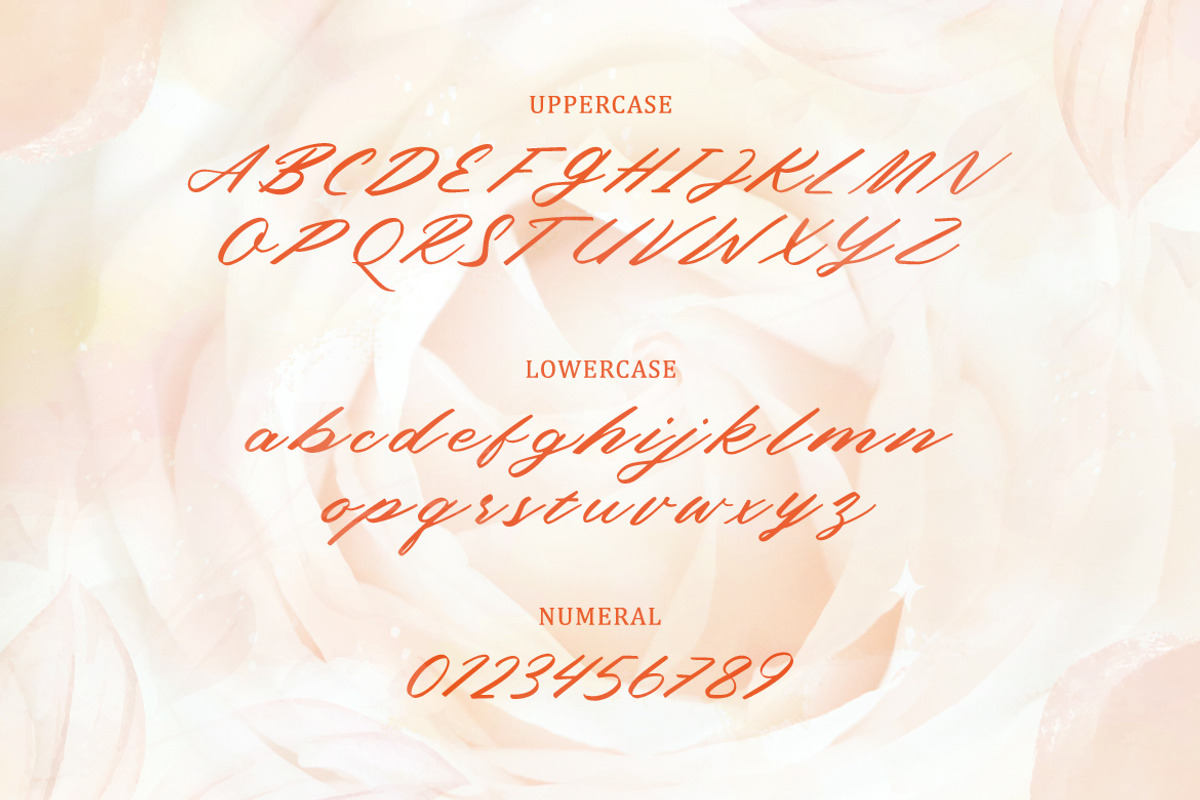 Sweet June - Lovely Script, a Handwritten Font by Typefactoryco (Photo 2 of 10)