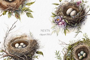 Nests Watercolor Clipart