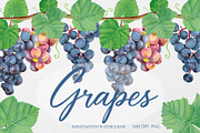 Watercolor Grapes Clipart, a Food Illustration by DiashaArt (Thumbnail 1 of 8)