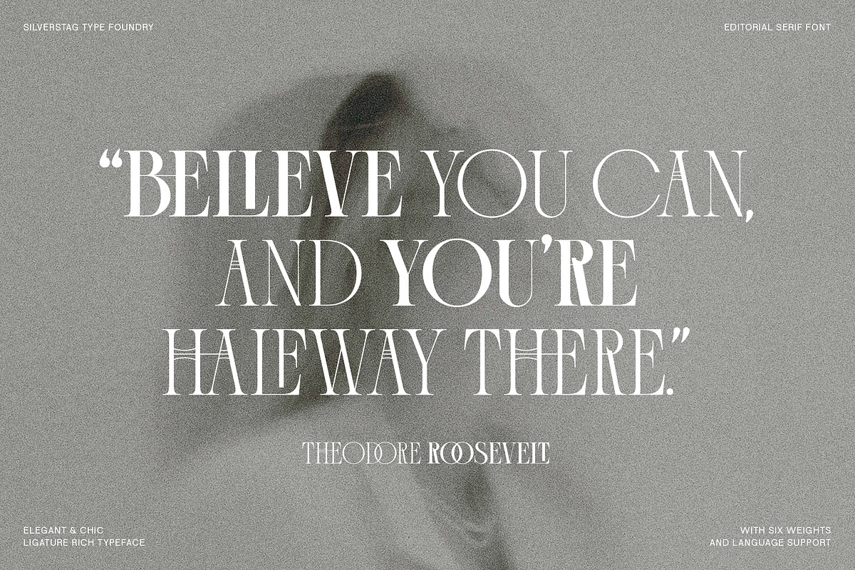 Cosmic Solace - Ligature Typeface, a Serif Font by SilverStag Type Foundry (Photo 19 of 30)