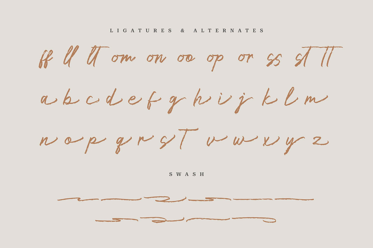 Leneora Seraphine Brush Handwritten, a Script Font by Denustudios (Photo 13 of 15)