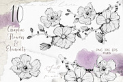 Pink Magnolia Watercolor Collection, a Decorative Illustration by AnitaPol (Thumbnail 5 of 14)