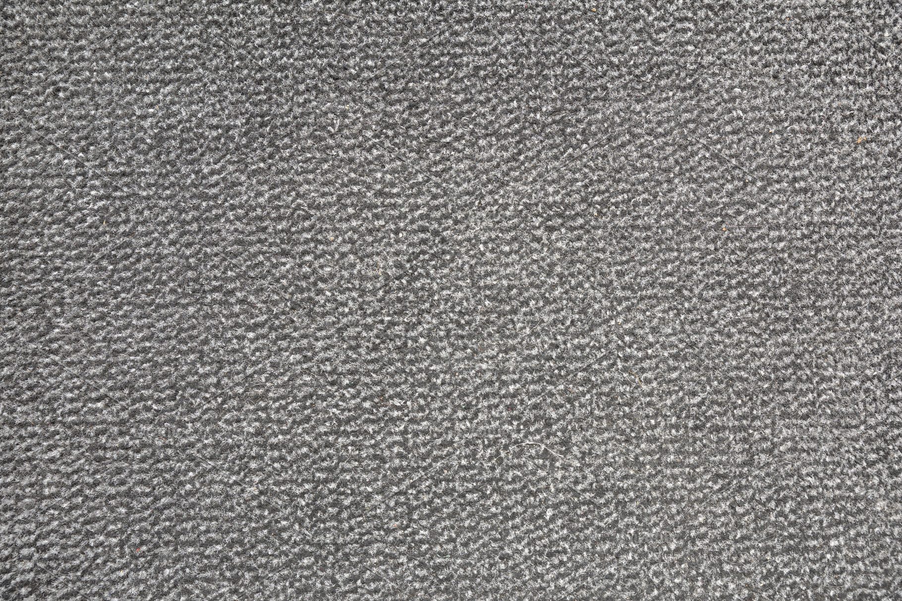 Textured background of gray carpet speckled with short-pile stra, an Abstract Photo by Davizro's Market