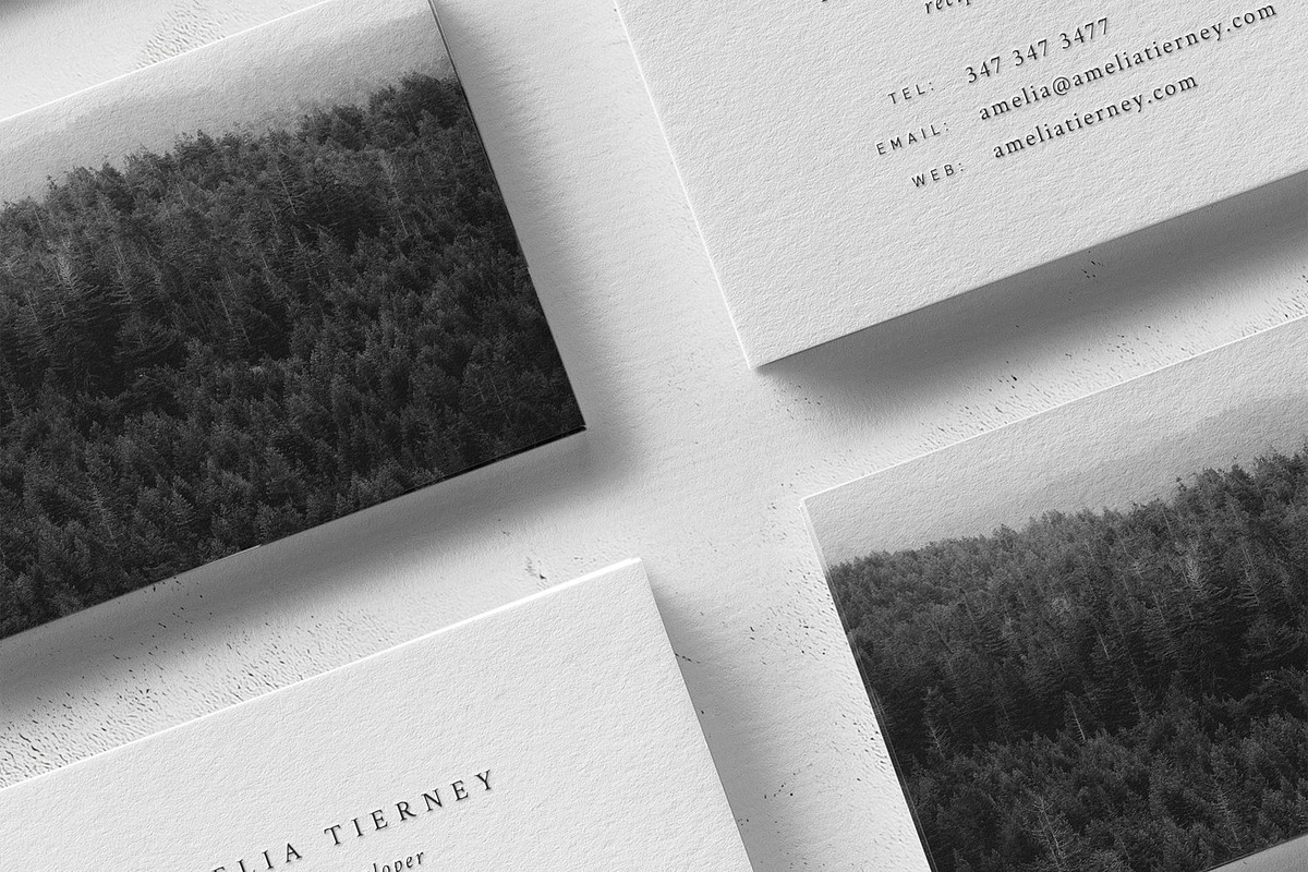 Amelia Business Card Template, a Business Card Template by The Denizen Co. (Photo 2 of 3)