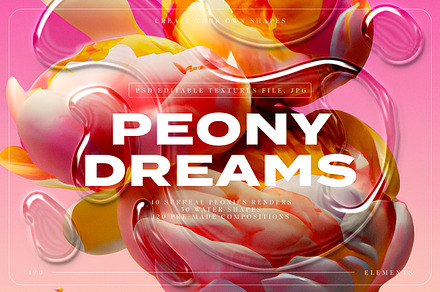 Peony Dreams: Illustration & Texture