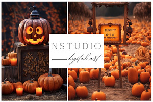 11 Halloween Fields Backdrops