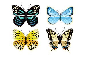 Butterflies Types Set Of Icons