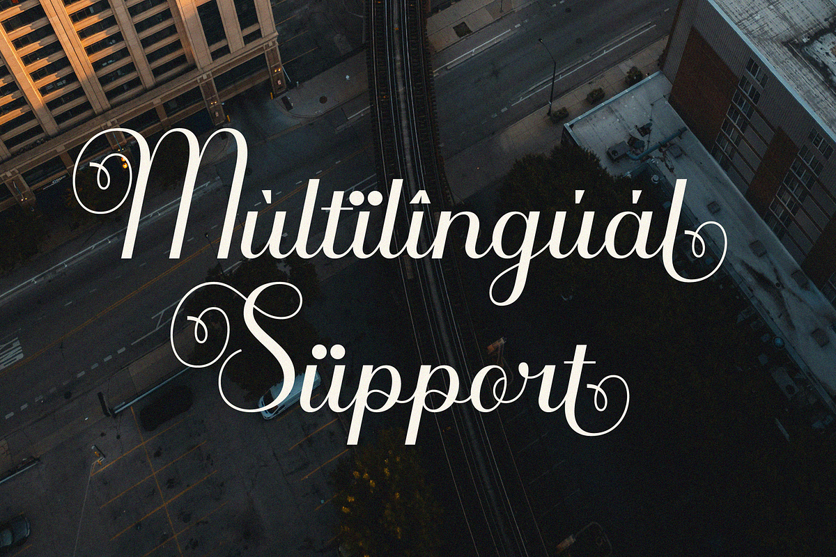Ranzene - Elegant Script Font, a Script Font by Randi Irvan | Rvandtype (Photo 12 of 14)