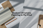 Shadow Backdrops Videos Collection, a Mockup by rebrandy (Thumbnail 16 of 20)