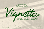 Vignetta - Casual Script Monoline, a Script Font by Pandeka Studio (Thumbnail 1 of 9)