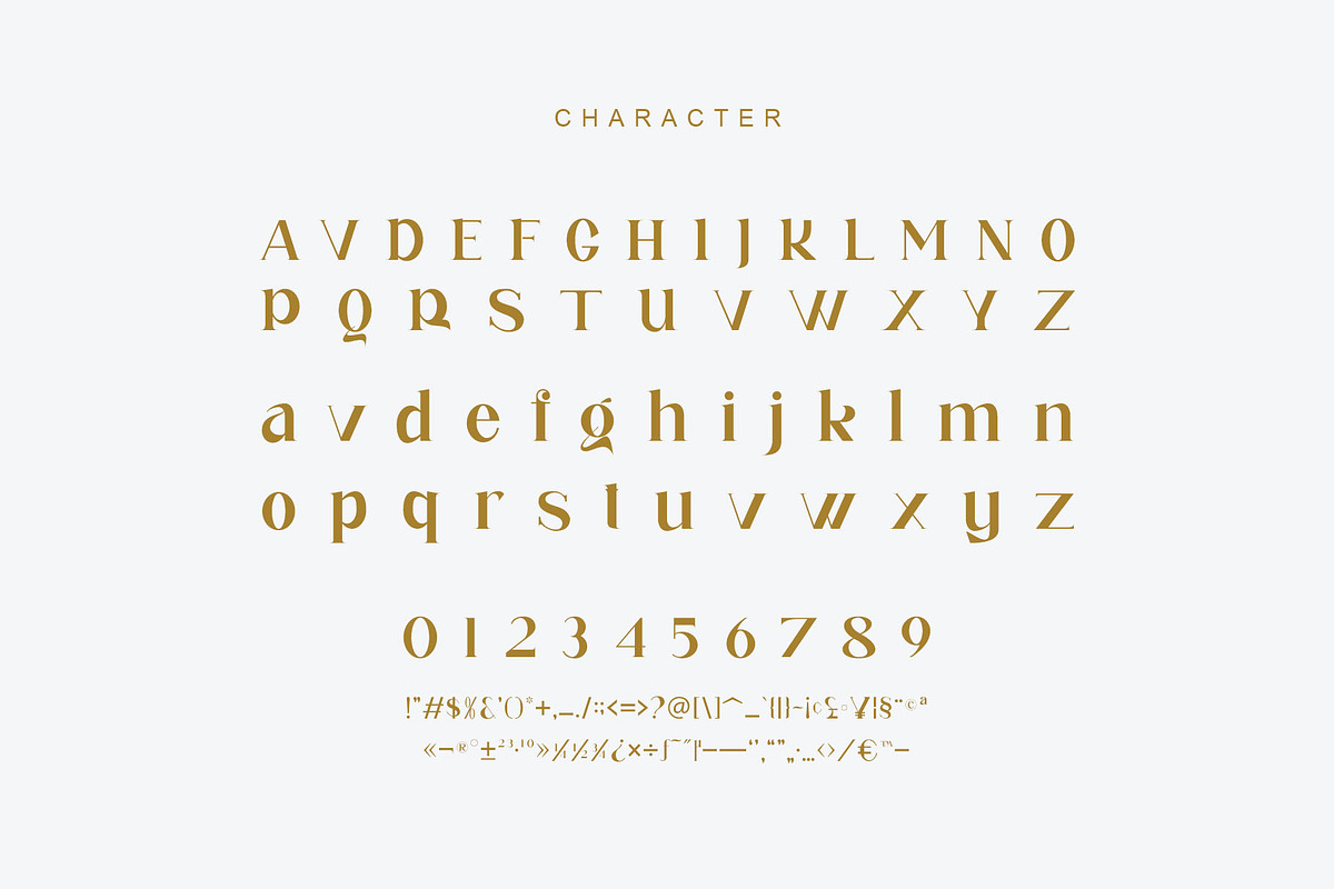 galink Modern Ligature Serif, a Serif Font by Humaira_std (Photo 9 of 10)