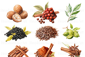 Watercolor Spice Clipart Pack