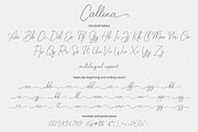 Callina Handwriting Font, a Script Font by LetterJos (Thumbnail 13 of 13)