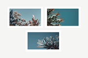 Arid Co · Desert Plantscape, a Texture Illustration by milatovar (Thumbnail 5 of 20)