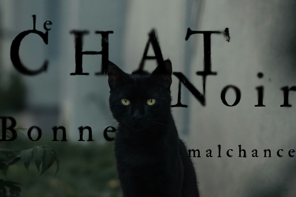 Halllow | Gothic SVG font, a Serif Font by Drawwwn (Photo 10 of 12)