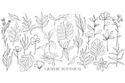 One line graphic botanical, a Decorative Illustration by Moonflora (Thumbnail 3 of 7)