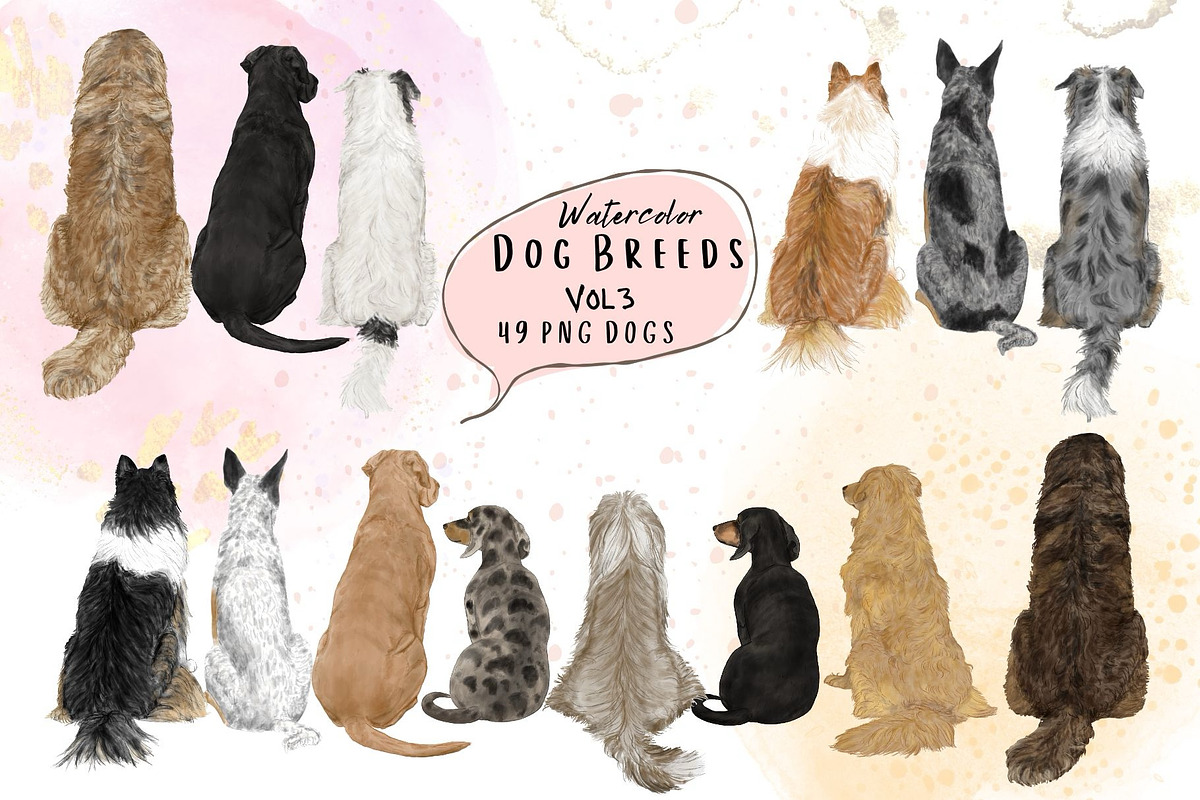 Watercolor Dog Breeds Clipart., an Animal Illustration by ColorfulPT (Photo 1 of 8)