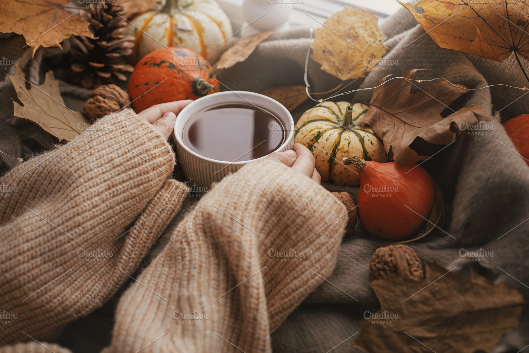 Autumn hygge. Hands in cozy sweater holding warm cup of tea with, a Holiday Photo by Sonjachni
