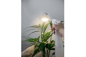 POV of plant care spraying, a Nature Photo by Fascinadora
