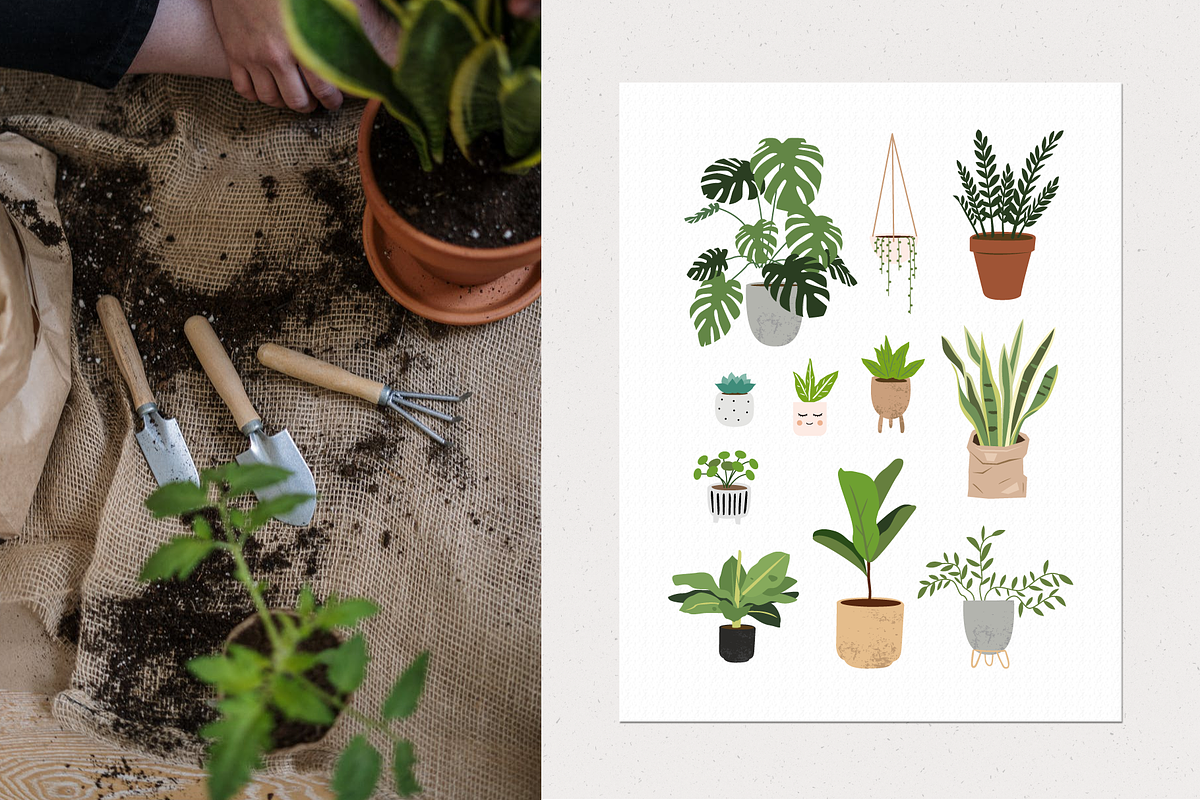 House plants | Urban jungle, a Decorative Illustration by AngelinaKovel (Photo 9 of 10)