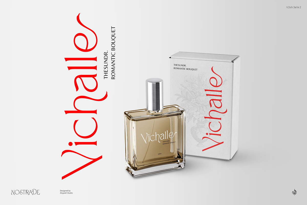Nostrade, a Serif Font by Aluyeah Studio (Photo 4 of 15)