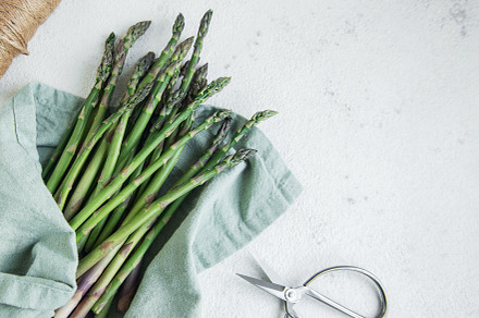 Bunches of green raw  asparagus., a Food & Drink Photo by Olena Rudo
