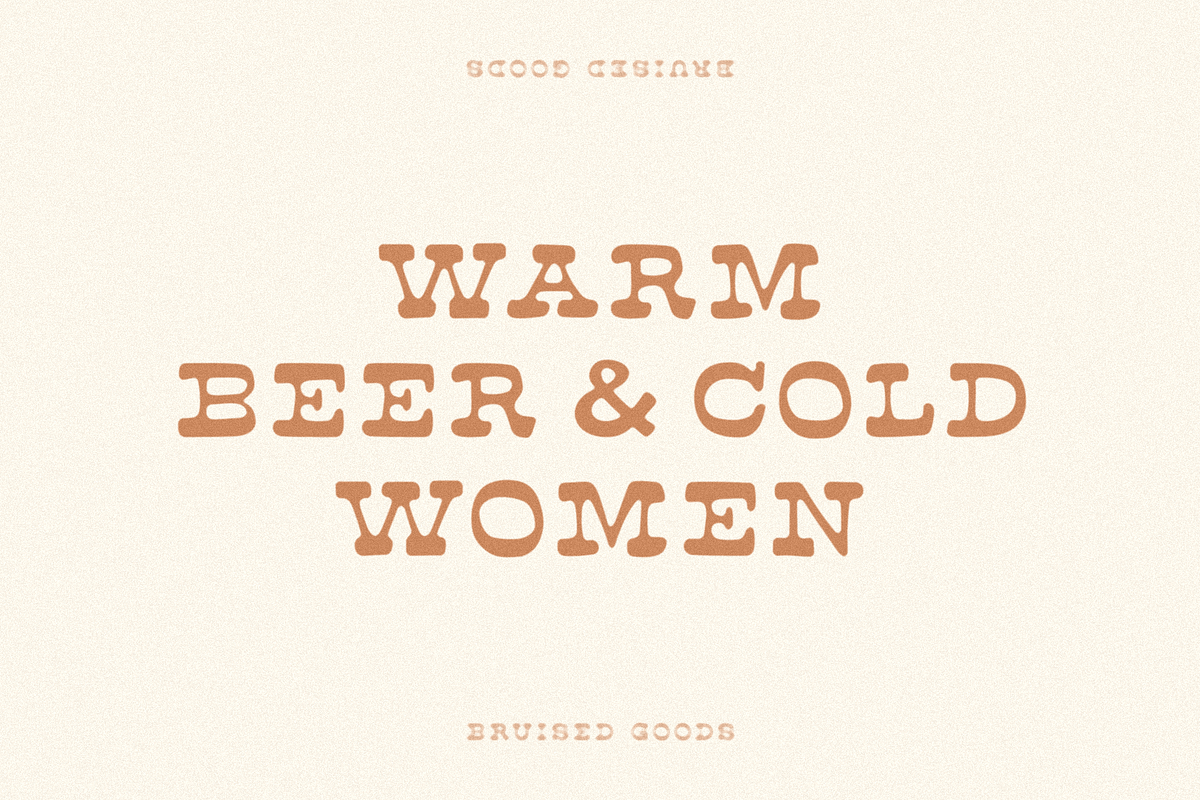 Road Trip, a Slab Serif Font by Bruised Goods (Photo 2 of 4)