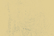 Bitmap Textures, a Graphic by adamelwell (Thumbnail 3 of 5)