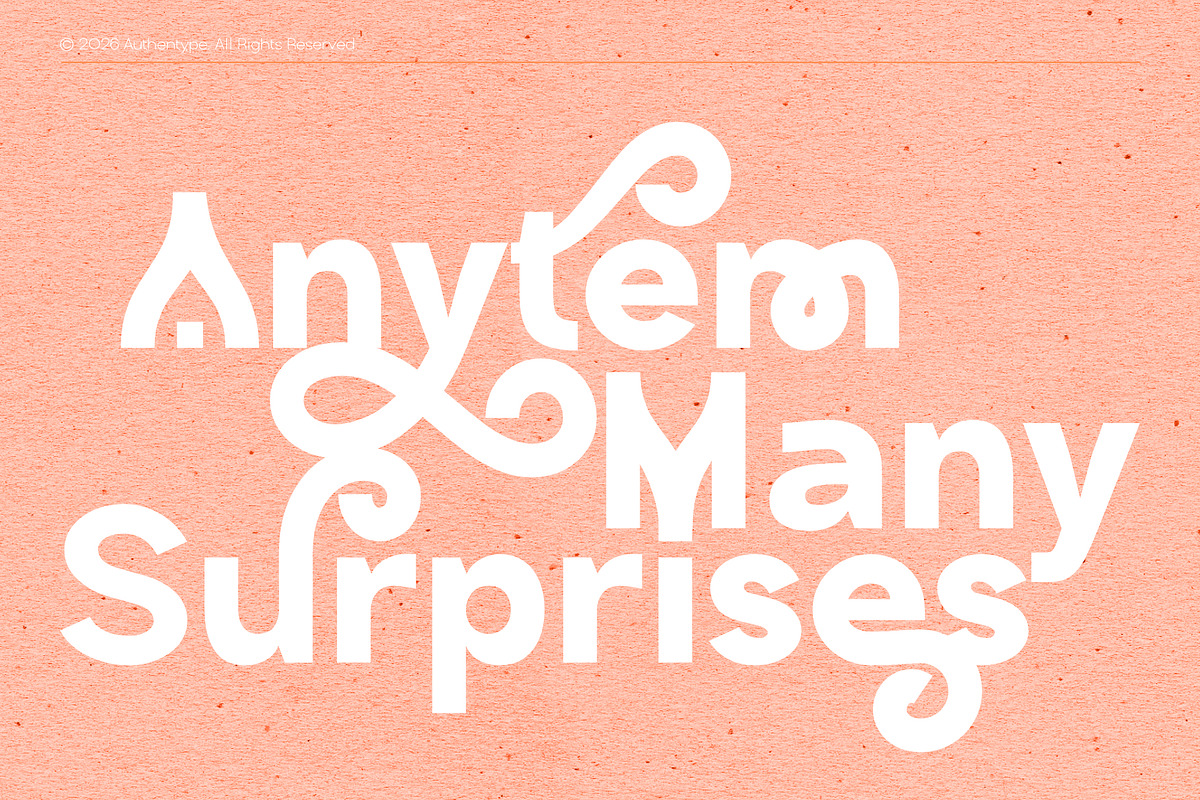 Poppis - Branding Logo Typeface, a Sans Serif Font by AuthenType (Photo 11 of 15)