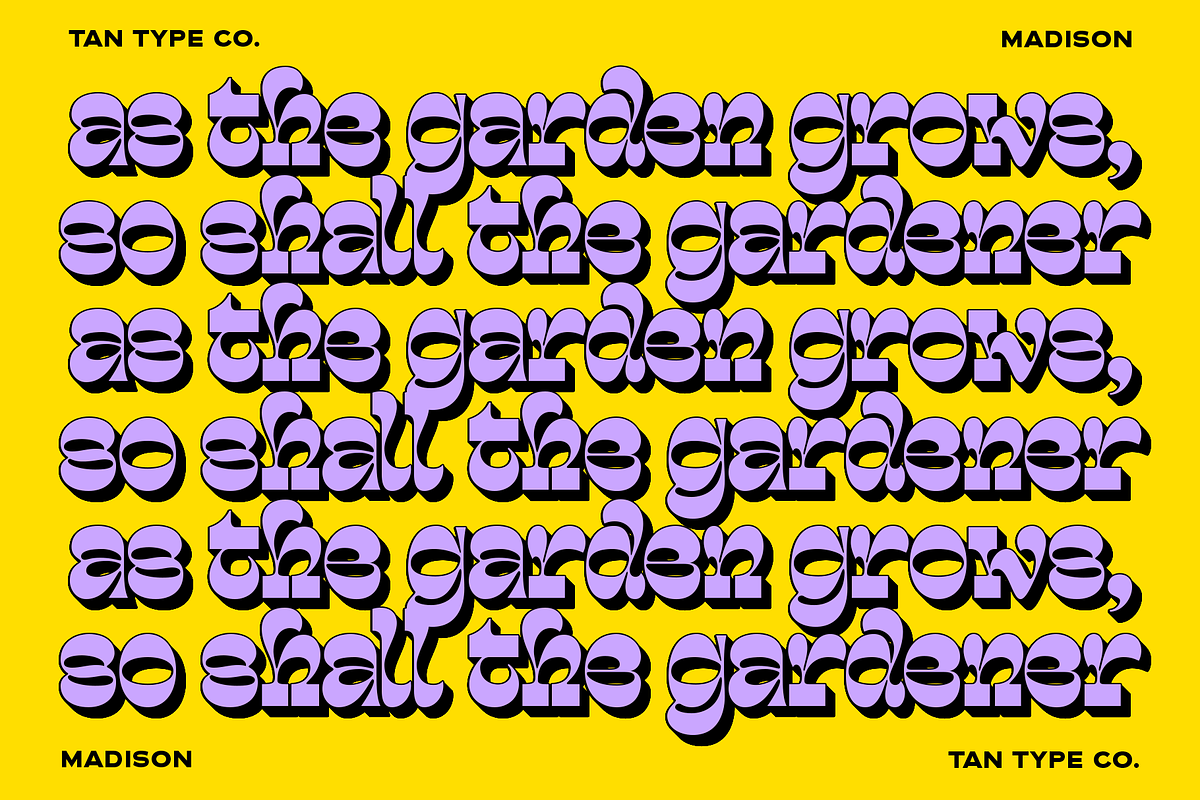 TAN - MADISON, a Font by TanType (Photo 7 of 10)