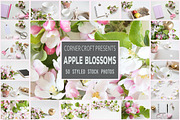 Apple Blossom Styled Photo Bundle, a Cups & Container Mockup by Corner Croft Mockups (Thumbnail 1 of 5)