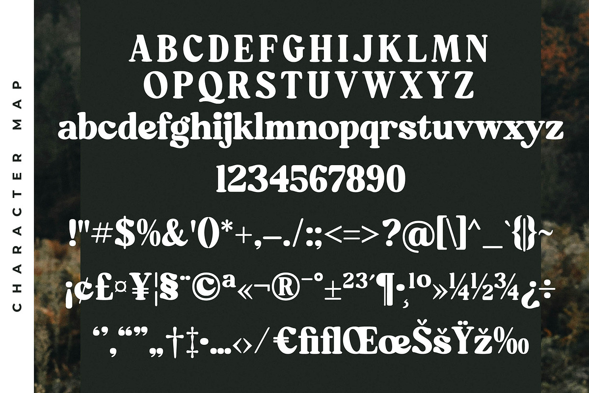 Mistys Relrica  Modern Retro Serif, a Serif Font by Letterena Studios (Photo 13 of 15)