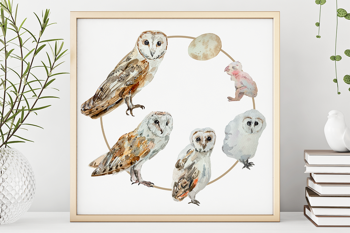 Owl Life Cycle Clip Arts and Print, an Education Illustration by Tati Bordiu (Photo 1 of 5)